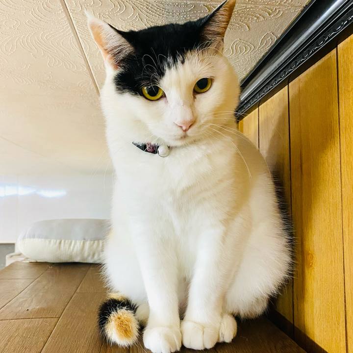 972b76a3 3fa6 440b b0d6 7830840c098b 1685105269954