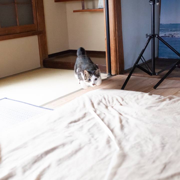 972b8132 c29e 4f33 a564 5bfccee444b4 1564537805860