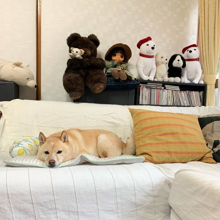 972b9afe 2758 4b87 8937 f9af52a96b31 1625722255610