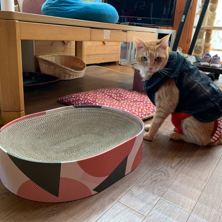 972b9d15 232b 4393 a577 de1e1f0e481c 1624148346989