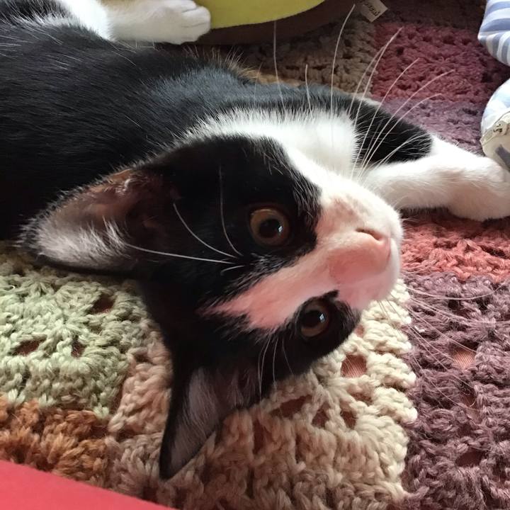 972be464 06ec 458e 91a0 df03a21ae5d0 1627438065301