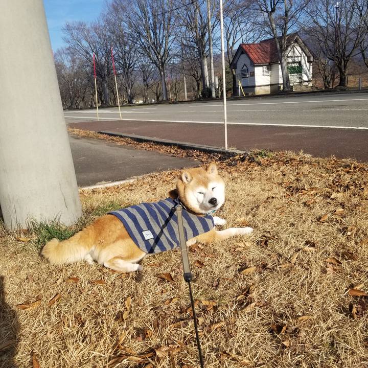 972c0f08 fdcc 4386 9311 24ac3a22b27d 1702529604856