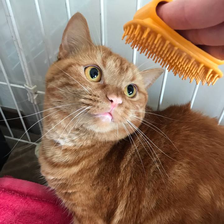 972c49a3 ed5c 45e0 8726 a3d378ab30b8 1564443476199