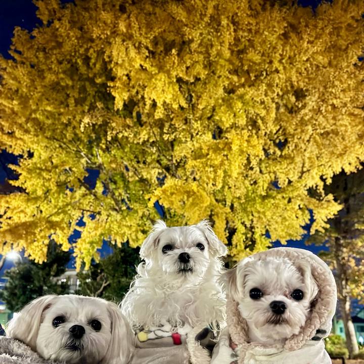 972c79cc 6e2e 4f4e be84 f3e17bfae172 1701679342290