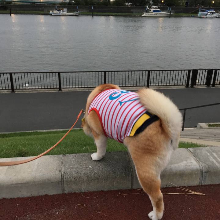 972cb566 b880 45a0 ab37 b8828ef97b01 1568370633812