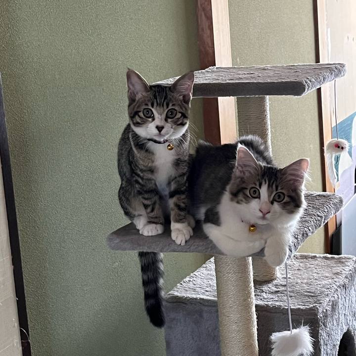 972d14c7 95be 4a69 adcf f7e1728b74af 1691913994204