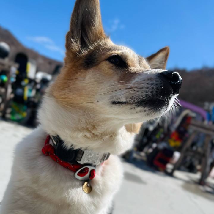 972d1a7b 4139 4e1b 8d45 5fd4893ace94 1772247505583