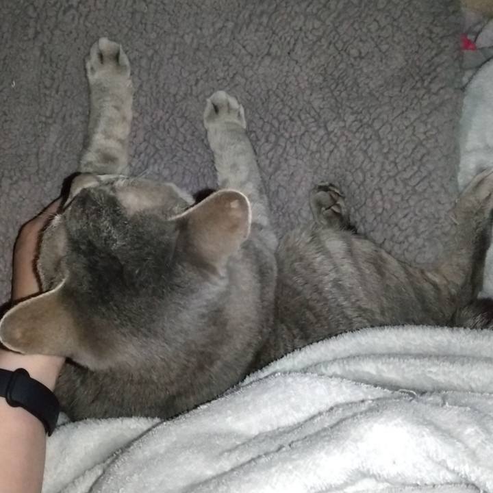 972d55be b7a7 4909 a591 10e091b9d338 1685732144444