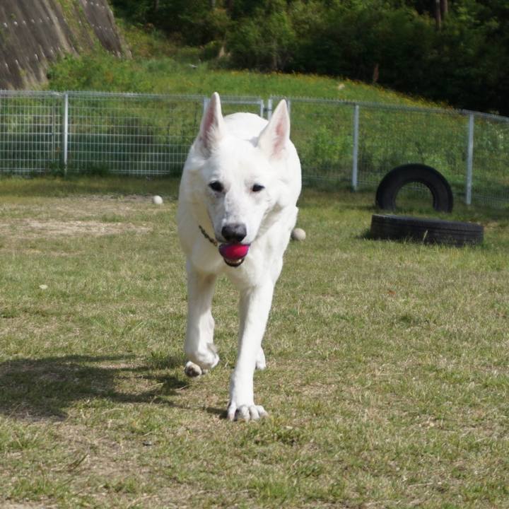 972d89ca 30ad 47e8 bc71 030538cdf418 1621345258535