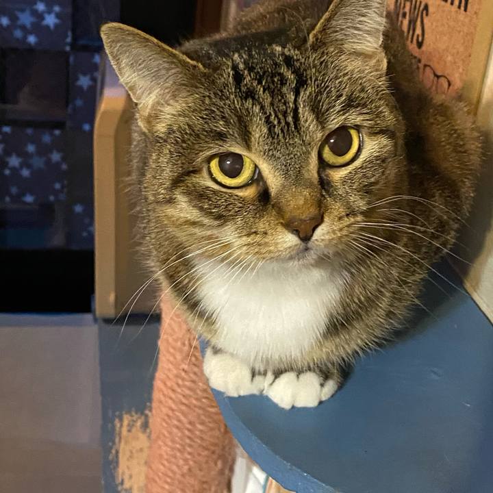 972d8a58 9d5f 41f3 a76f ce402c214f78 1612005655766