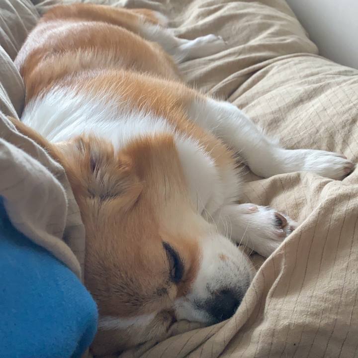 972dc31a 373b 4eb4 9b81 94f5ac5959f3 1667540775280