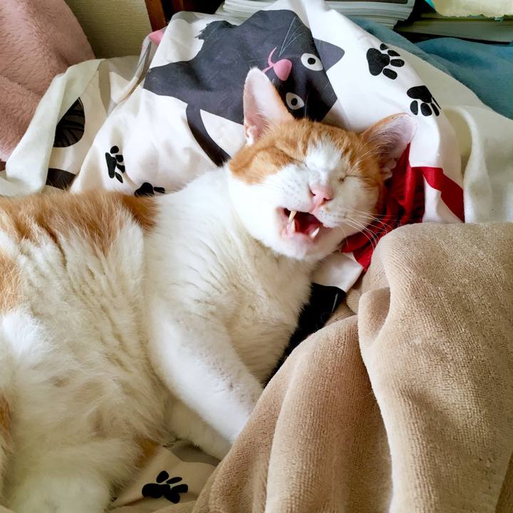 972dd89c dcb9 499a 90ad a75e89b9b676 1568378800555