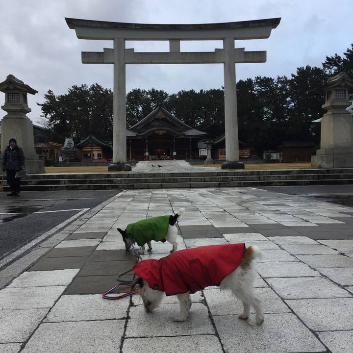 972dfde2 bbbb 4a95 b59e ec817f599ece 1512446368297