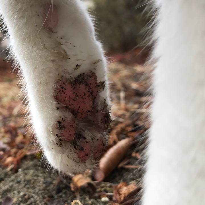 972e06e6 566f 4df2 a00a 5507d4114f0d 1515562714361