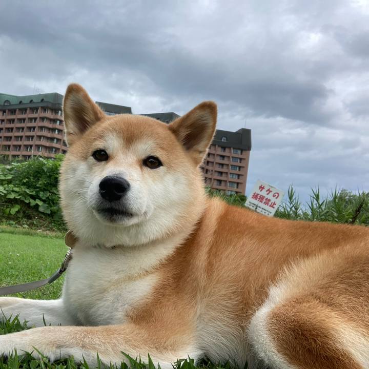 972e21be 50c4 42de 99d3 82c8607f89fd 1689496523688