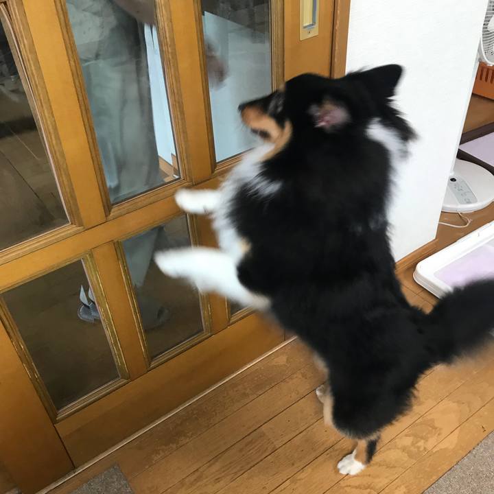 972e9b2c 2145 4bcb a78c 5399f8db60cd 1530741855779