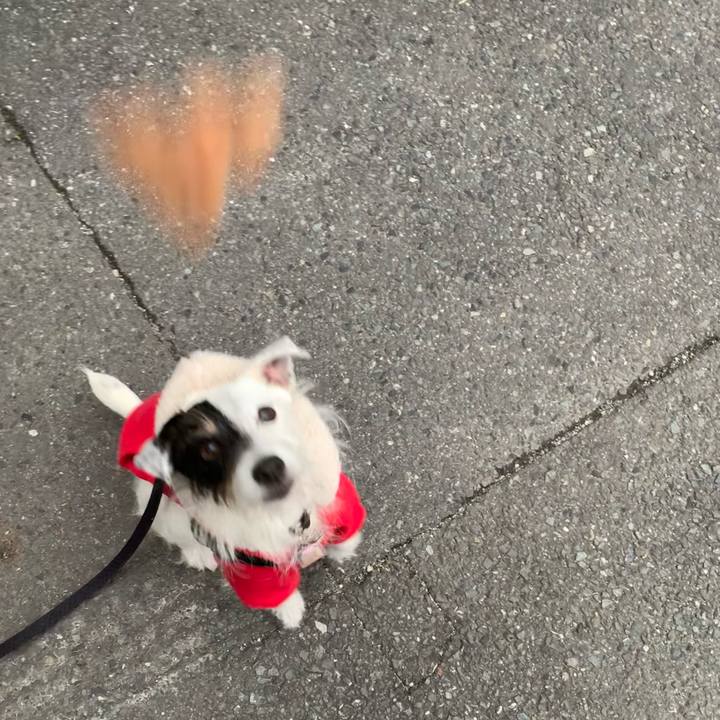 972ea8e2 1dcb 4a53 8fc4 f2d362654187 1669879777230