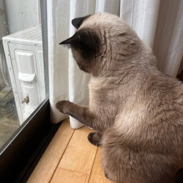 972f38b2 9eb3 4dba 9cfd 65aedad333c3 1694396658113