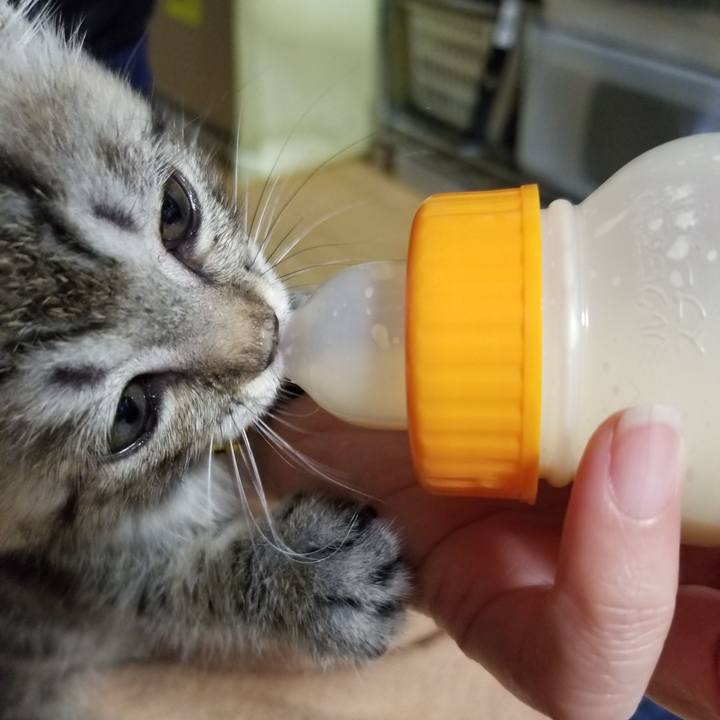 972f490a f559 4c7d 9f9e b3b98dc66a7d 1661698591026