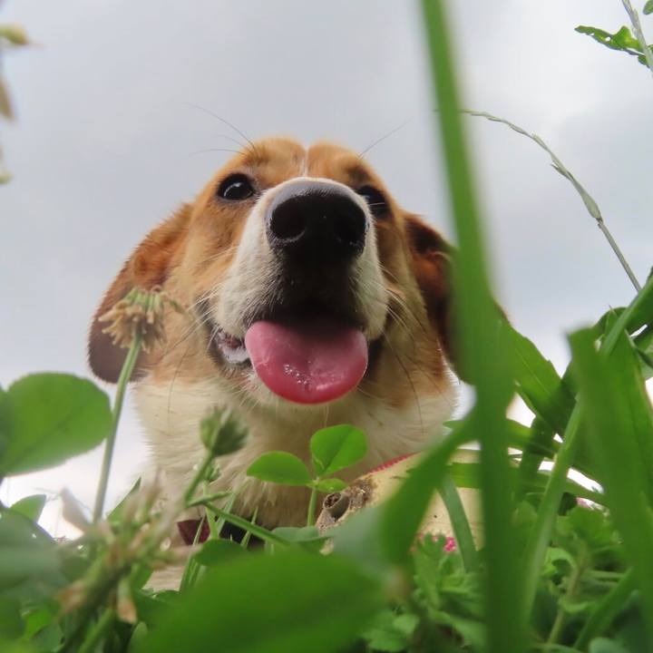 972f84d8 997f 429c b06b 4c5dcbf48272 1624671702330