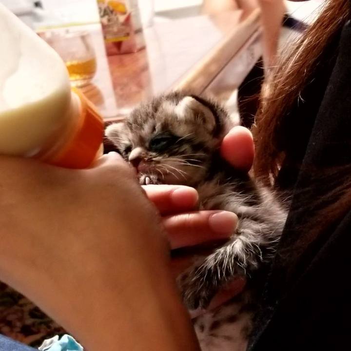 972f9df1 67cb 4640 8b7f 14bca9a3dbbf 1659565803831