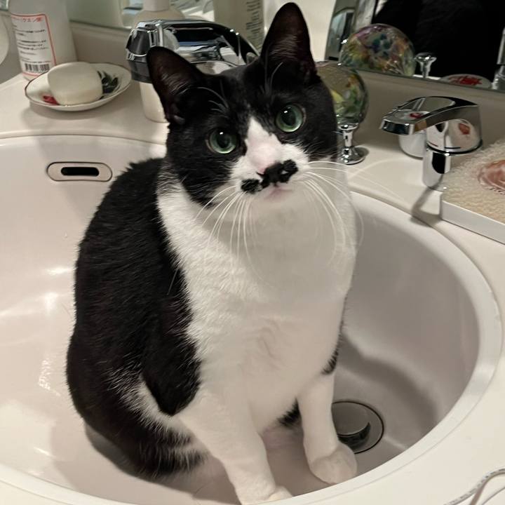 972fca4d ac5f 4916 92ea 968d3ffaeb19 1770243837586