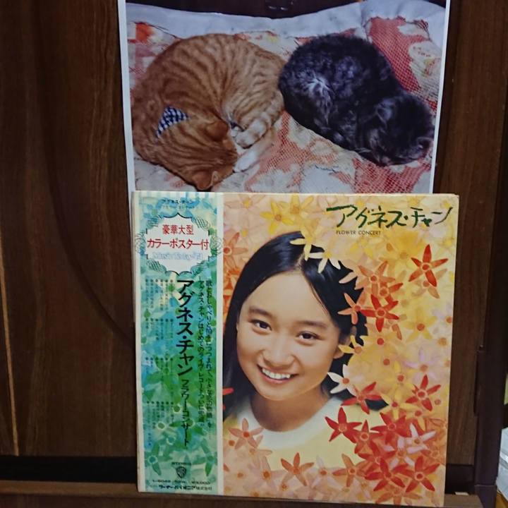 972fe9fe b2e5 4d49 b1f7 13a971d940bd 1601553570431