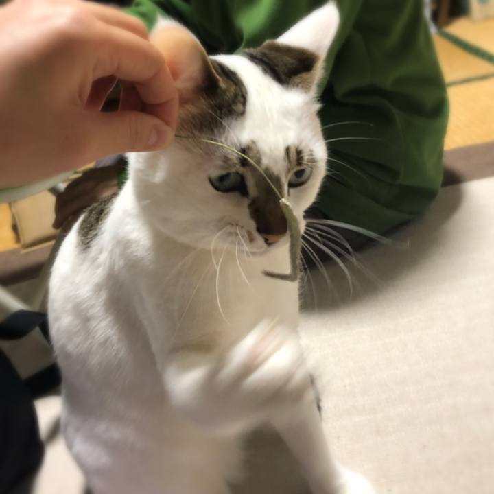 97310a75 cfb1 460b ba90 ad23af05960b 1521727860262