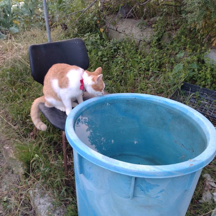 97314b52 0d42 42bb 8952 92282c45079b 1759050044373