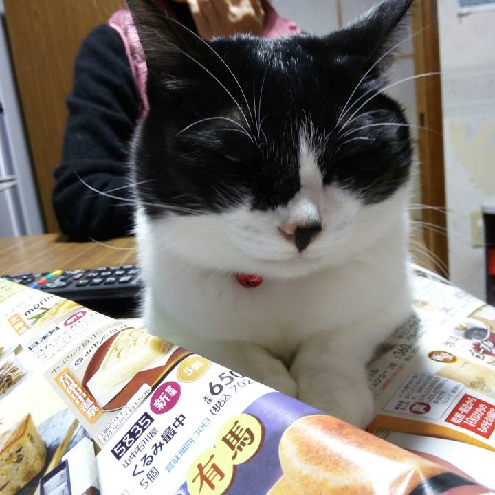 97316368 2314 434e a131 c3546f8faca0 1510912486883