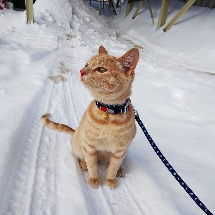 973170ef e9de 492e 95ef 7db4d8c0ab0b 1548476702285