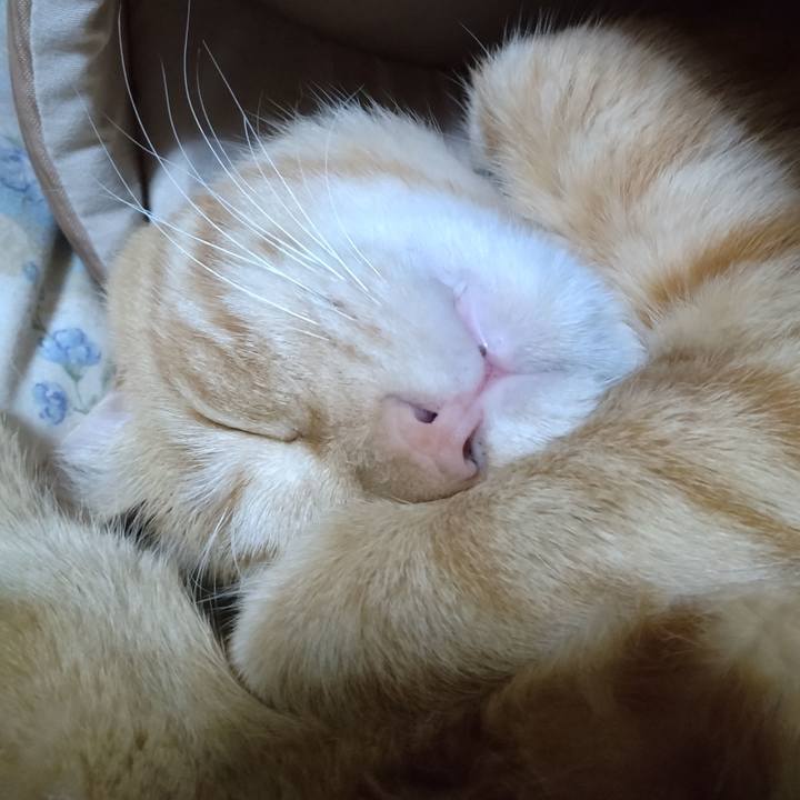 973198c3 4eba 47bb ab2d 86b3c474b828 1667476566435