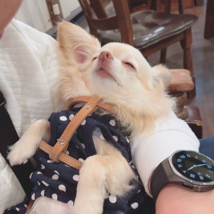 9731e674 642a 4426 aa73 9564e0672a0d 1745923328989