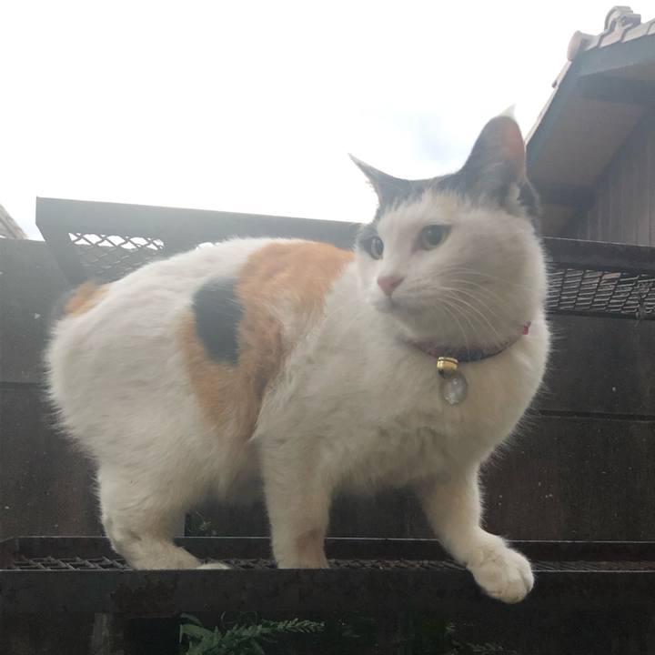 97321ab4 d3cc 4ddd b36c efdfbcfd0da7 1608330195324