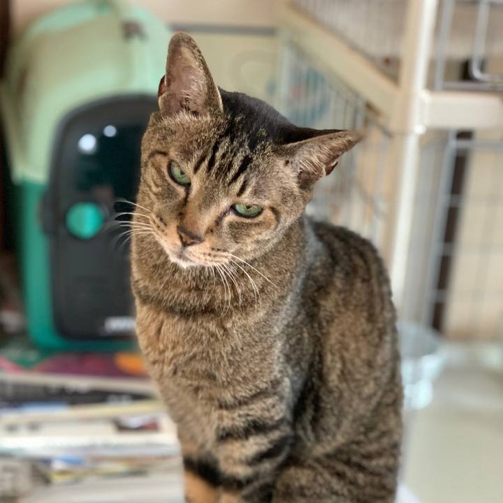 97322663 3489 47dc b60e cf13b7f80a0e 1590455724917