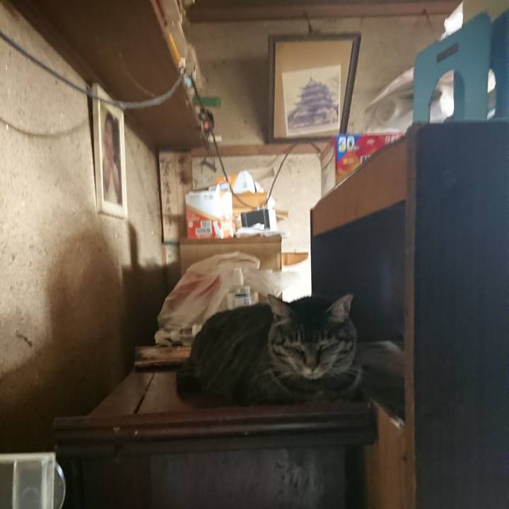 97328cf4 91be 4fc8 9198 0e94997ce8cd 1659647291476