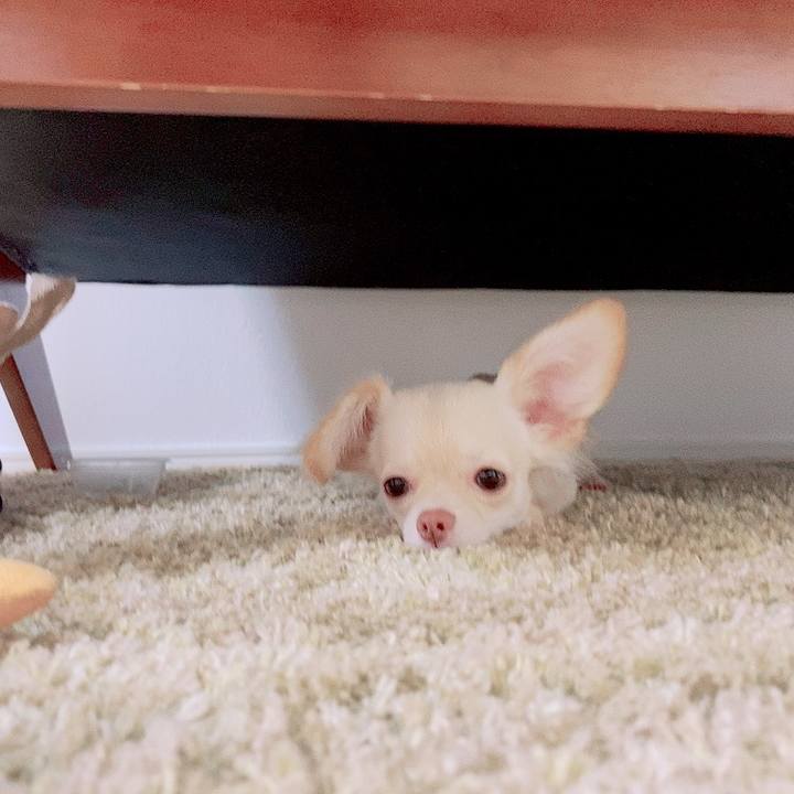 973296a6 63cd 4854 8043 7736246c1038 1595031873998