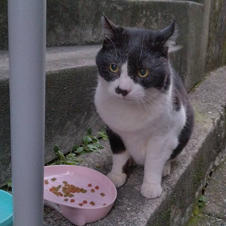 9732fd38 44fb 4553 9bee fc34c2f9b1fb 1700380347148