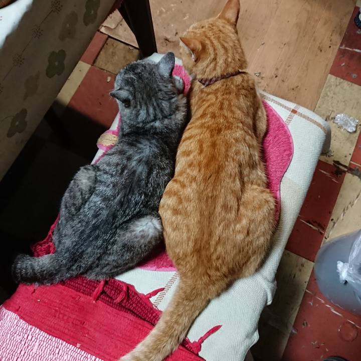 97337205 6f02 49bb a219 8ebc66bdb2c6 1567163746124