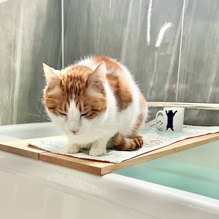 9733c2dc d619 4b76 be2e c9ef9dafe928 1769132050872