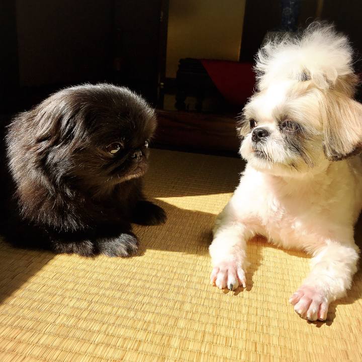 9733d490 a6b8 43f0 a9ad 1ceffa7f76a9 1536638680830