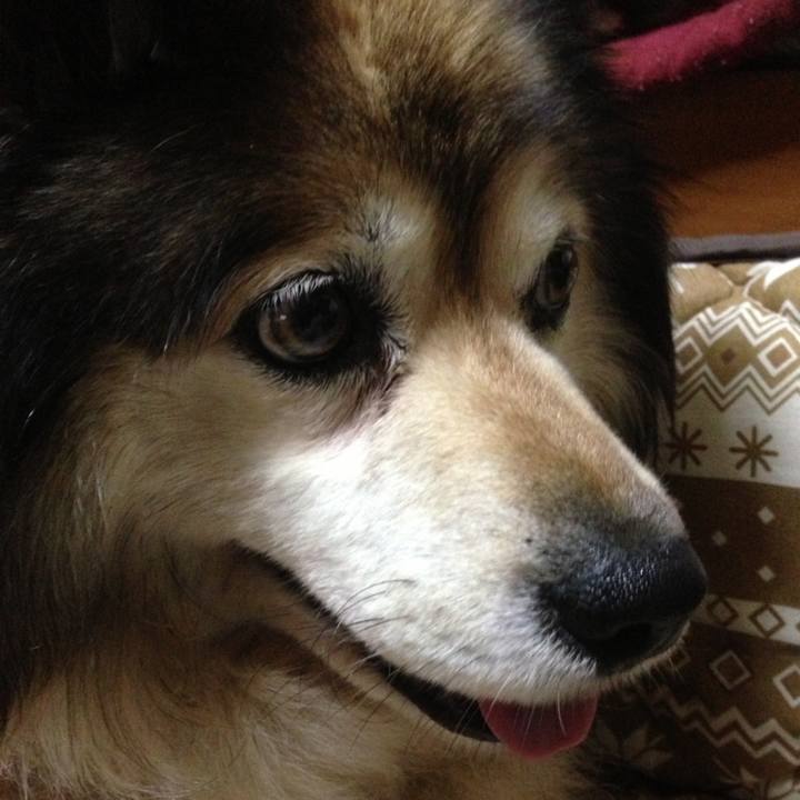 97341591 241e 4dd8 989f d27466c27a4d 1609546805467