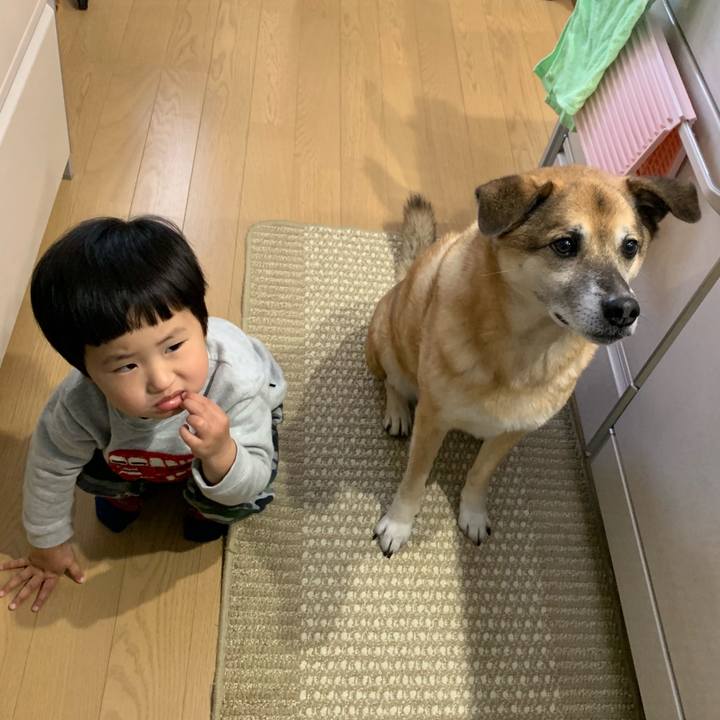 973437c0 e6ac 4797 a9cb f868fcfc1af8 1554019324617