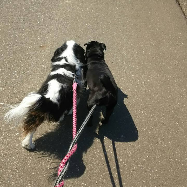 97343df8 f9f8 45de b478 88496fe23282 1524889653450