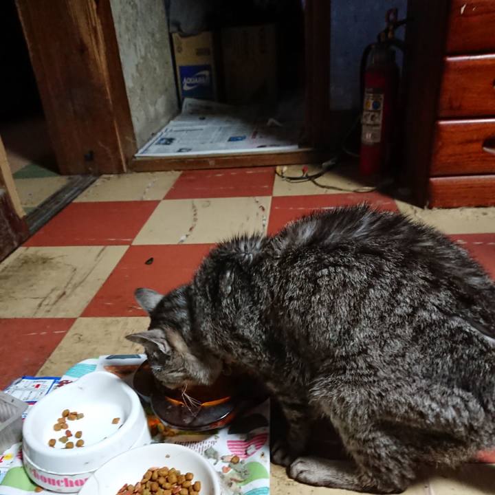 973453e4 3d1f 47c2 94a3 c4c8c4a33b3a 1594928418593