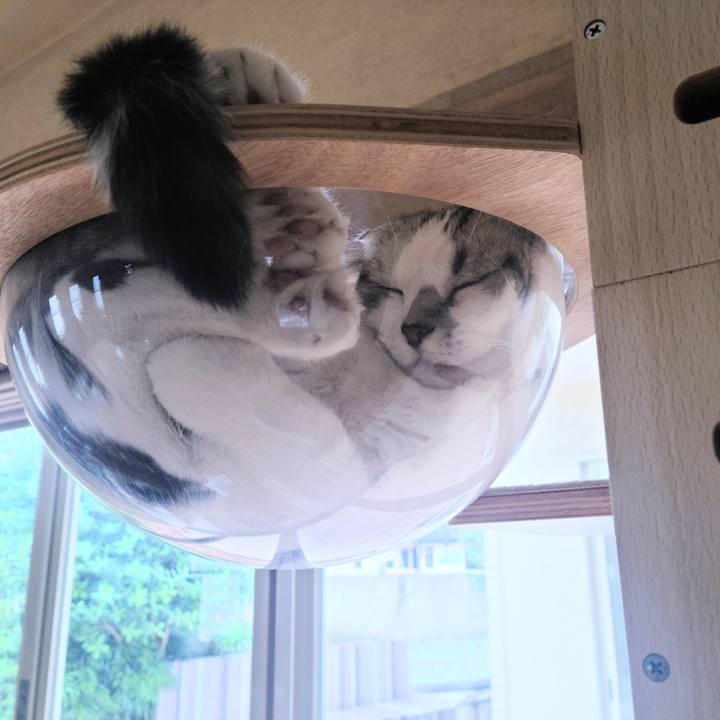 97347b87 ea5e 4a1d 8921 afabe72afa60 1695951021382