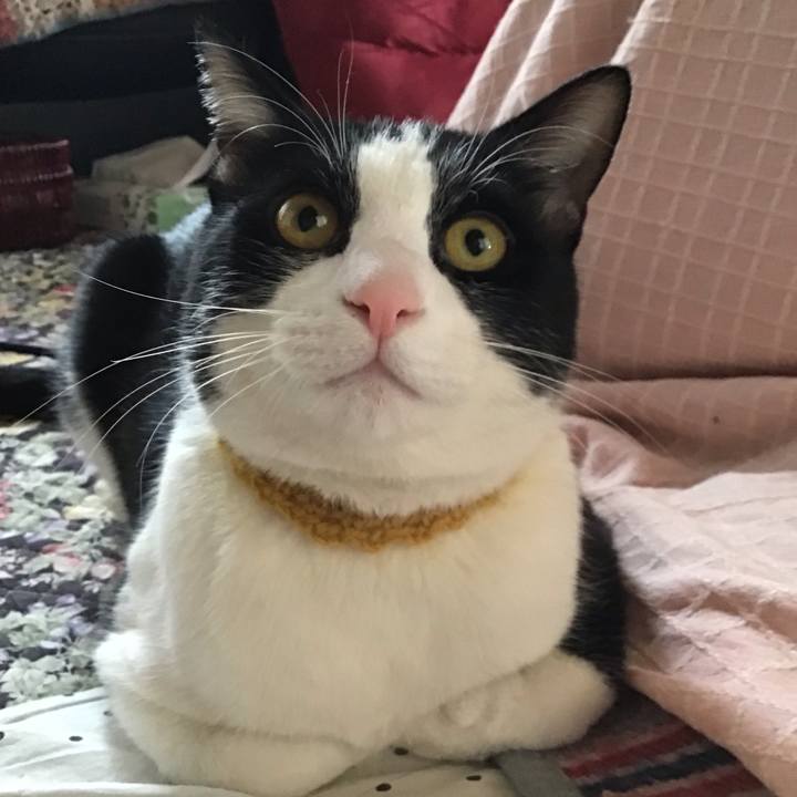 9734b959 8903 4c1e ad63 d7803dab07ec 1647770757047