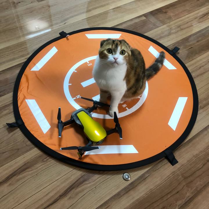 9734c251 c58c 4be1 ae1a ed11da0de38e 1520763941509