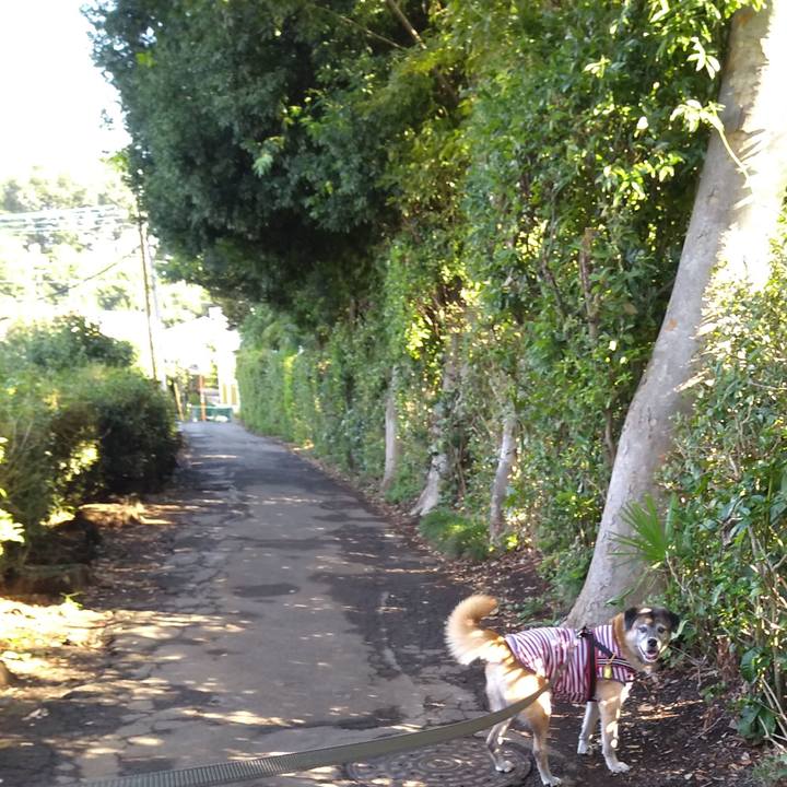 9734e56d 16e1 4561 abce 4341186924a9 1568678657075