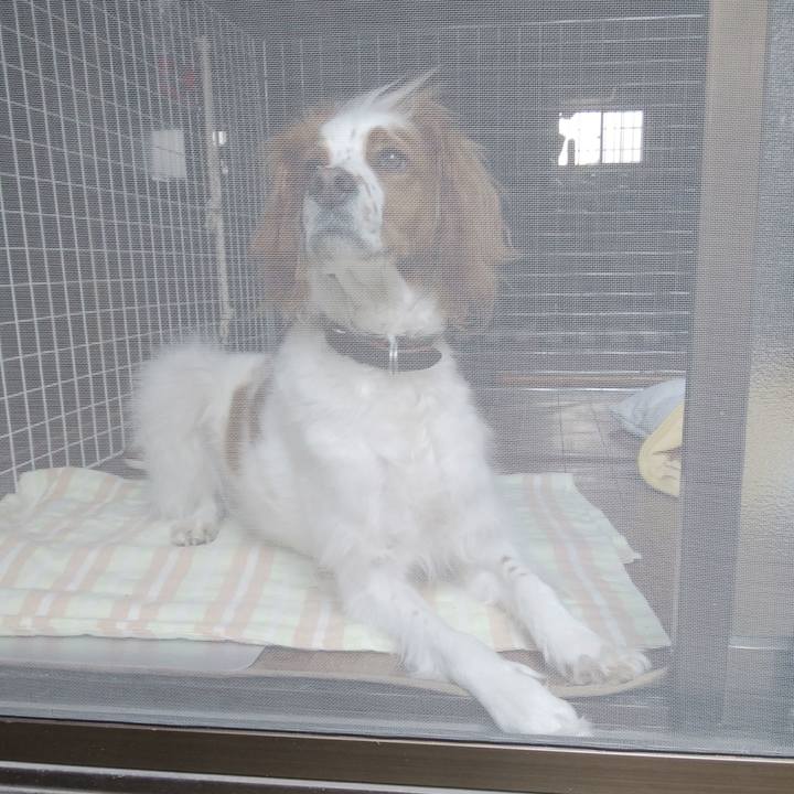 9735134e b64c 457b a06e dbeb7c8d6d42 1525482590903